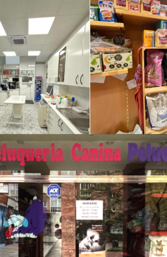 fotos instalaciones clínica veterinaria